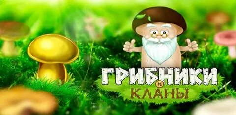 Грибы и кланы