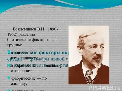 Беклемишев аналитическая