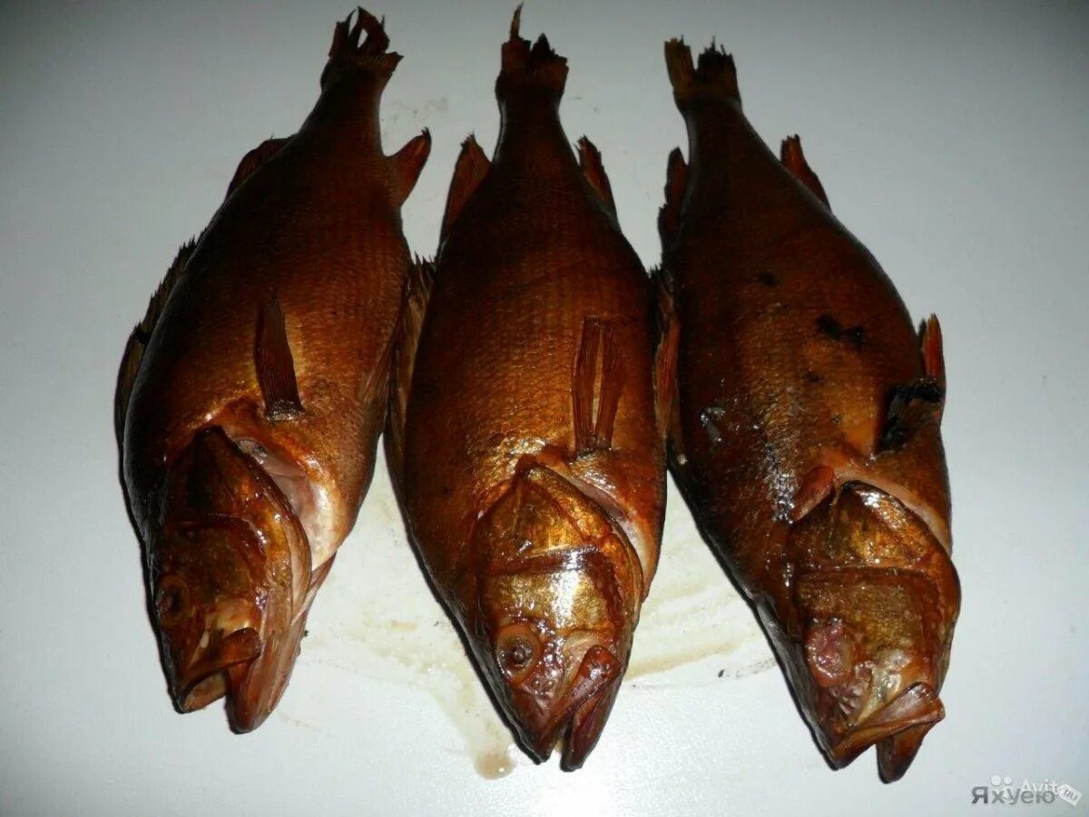 Окунь морской хк. Копченый окунь горячего копчения. Окунь речной холодного копчения. Линь горячего копчения. Красный окунь горячего копчения.
