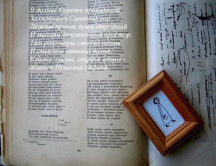 Ту или иную книгу