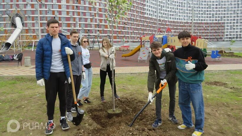 Посадка деревьев выпускниками
