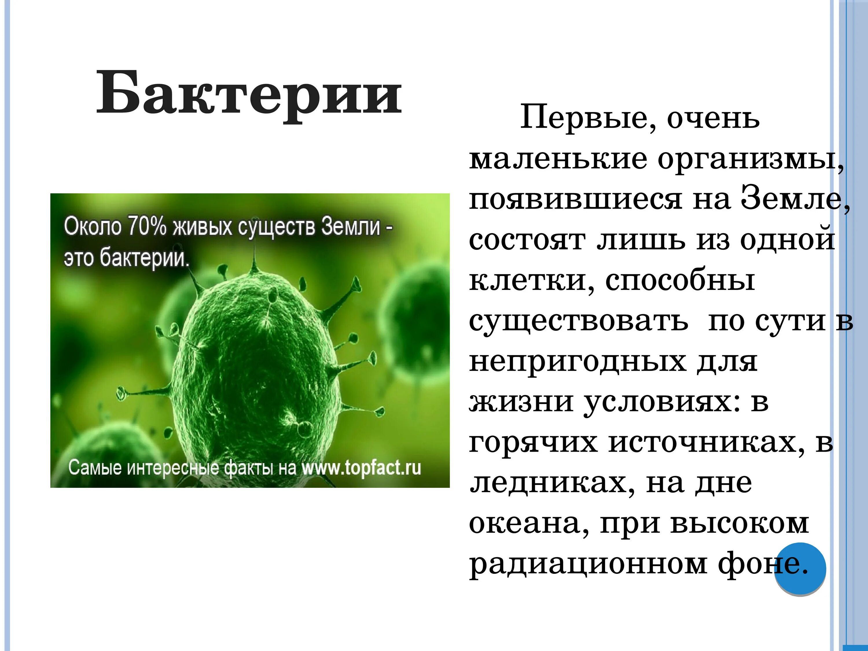 Бактерии сообщение кратко. Интересные сведения о бактериях. Интересные факты о микробах. Самые интересные о бактериях. Сообщение о бактериях.