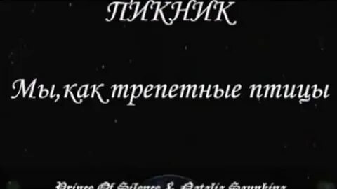 Пикник мы как трепетные птицы текст
