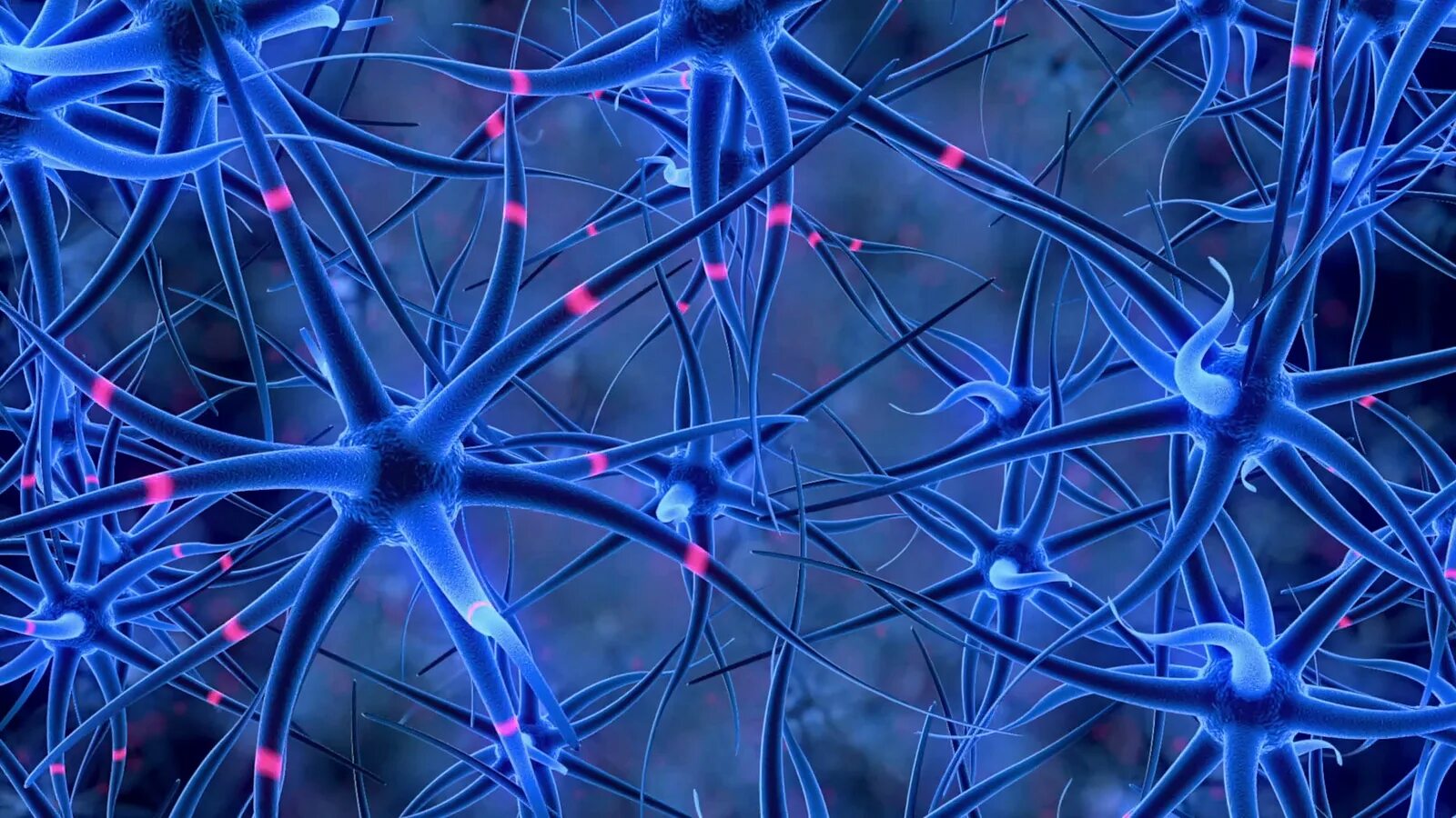 Neural search