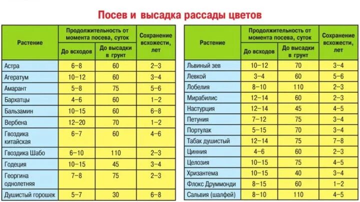 Сроки высадки семян. Сроки посадки однолетников на рассаду таблица. Сроки посева цветов на рассаду таблица. Таблица сроков посева однолетних цветов на рассаду. Сроки посадки цветов на рассаду.