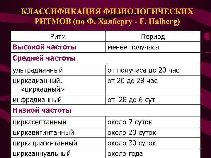 Период активности когда уровень физиологических функций высок. Классификация биоритмов Халберга. Классификация биологических ритмов. Классификация биоритмов человека суточные ритмы человека. Таблица биоритмов человека.