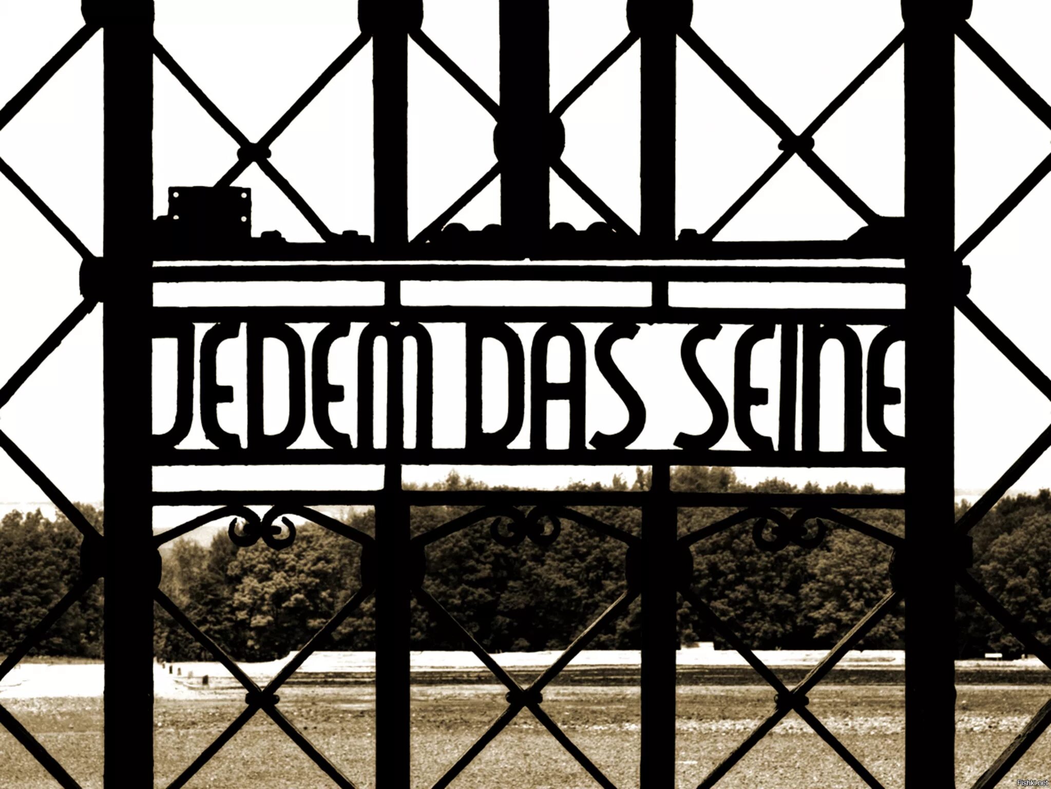 Группа wir гдр. Дас вольк. Helden. Mein hut der hat drei ecken слушать. Grün, grün, grün sind alle meine kleider задания.