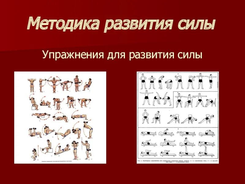 Методы развития силы на практике. Методы развития силы на практике