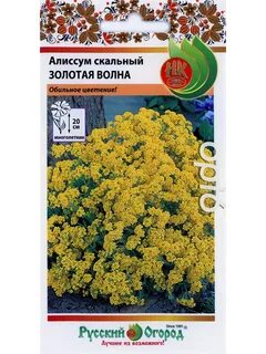 Алиссум скальный семена