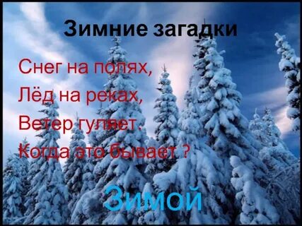 Зимние ветры гуляли