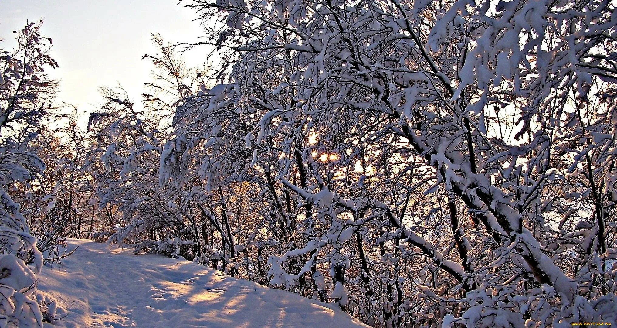 Зимняя природа. Зимние обои на рабочий стол. Красивые зимние обои на рабочий стол. Обои на рабочий стол зима декабрь. Звуки природы зимой