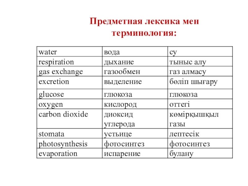 Стих про лексику. Быт это определение. Что такое лексикон в рассказе толстого. Бытовые слова примеры. Бытовой текст.
