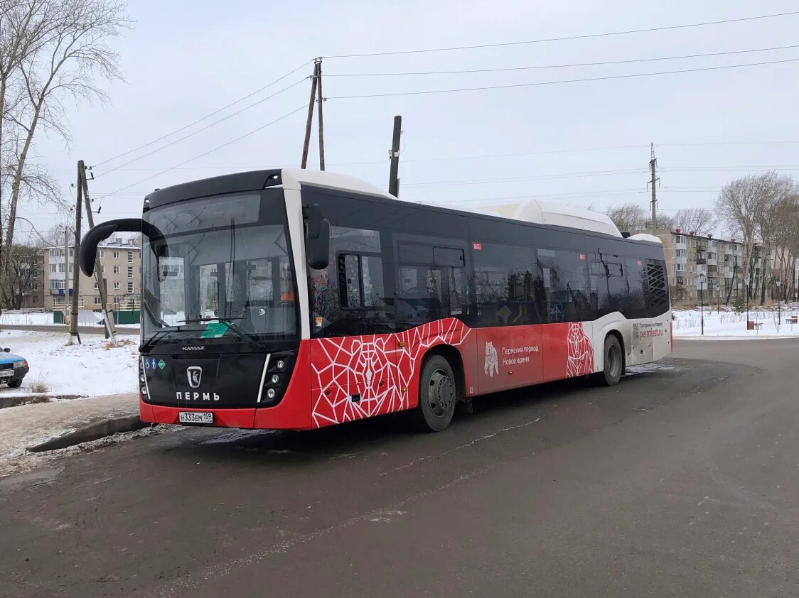 Бесплатные автобусы пермь. Автобусы Пермь. Новые автобусы в Перми. Междугородные автобусы Пермь. Общественный транспорт Пермского края.