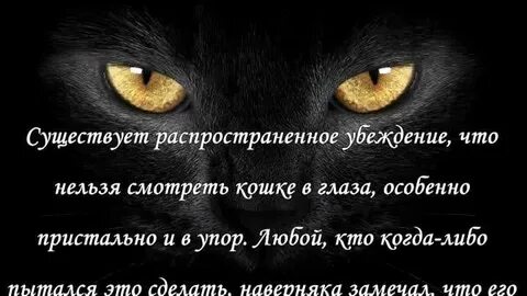 Посмотрим в глаза мертвым