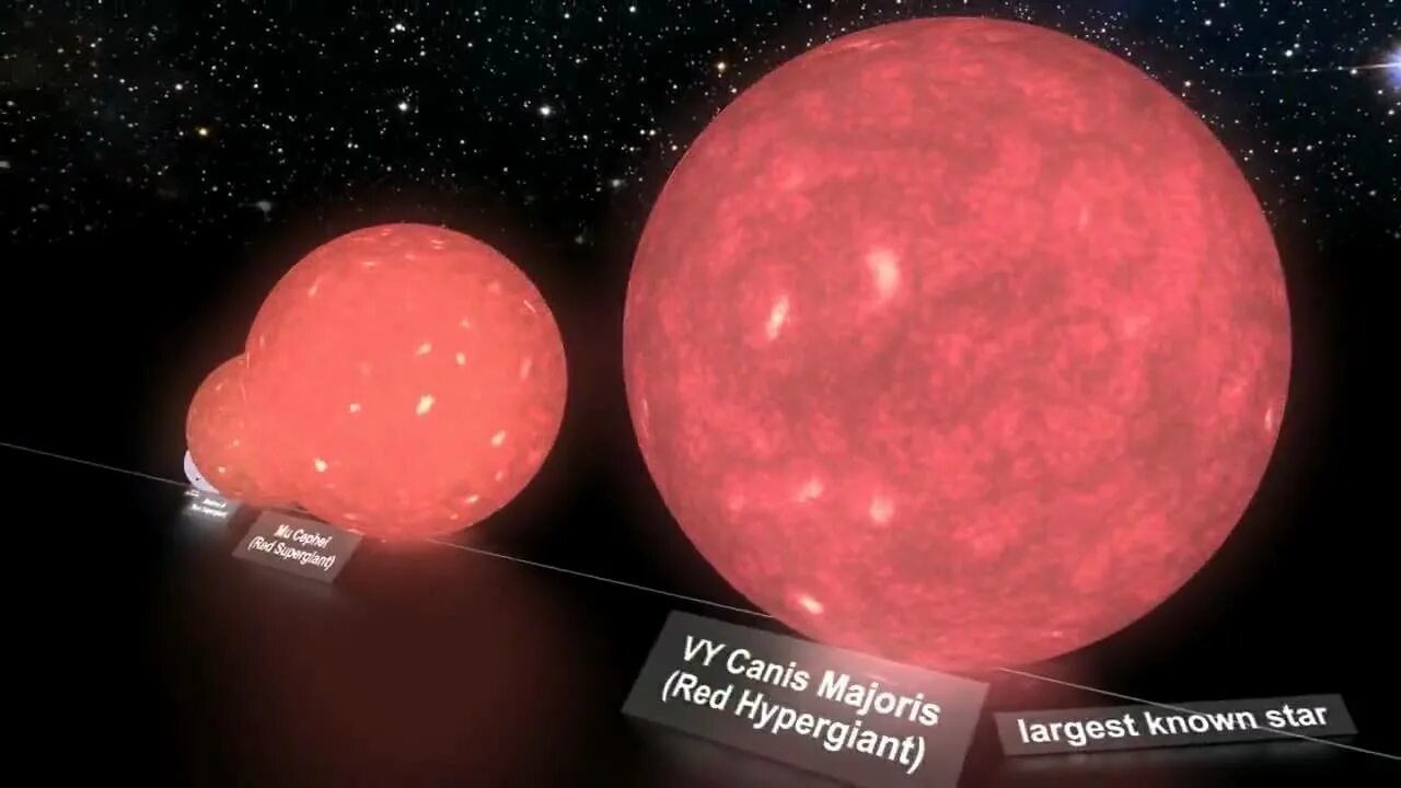 Vy canis Majoris звезда. Канис Маджорис звезда и Бетельгейзе. Vy щита и vy большого пса. VV Цефея звезда.