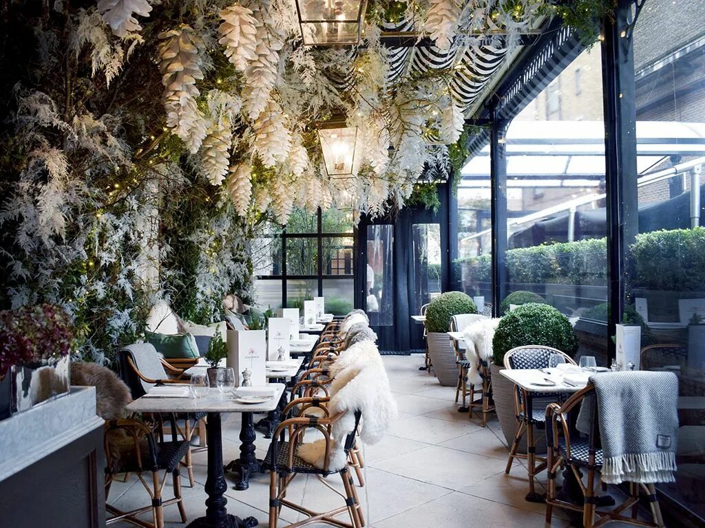 The cafe terrace