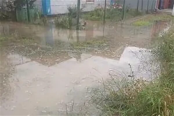 Лето было сухое дожди почти