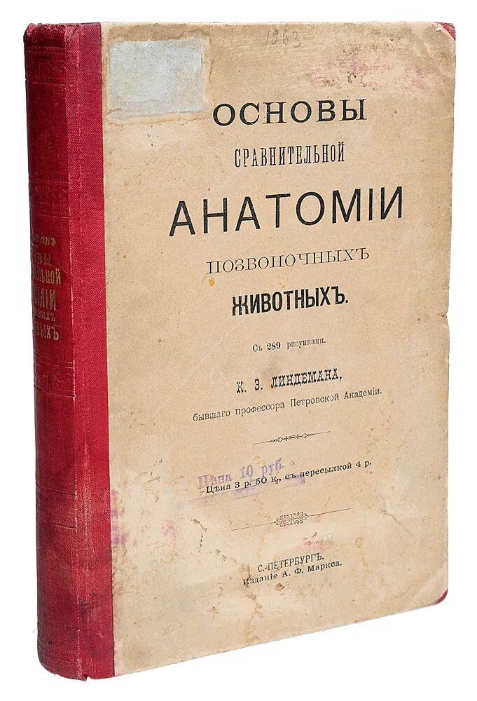 Основы сравнительной анатомии позвоночных животных. Сравнительная анатомия позвоночных животных. Основы сравнительной анатомии позвоночных животных. Книга. Основы сравнительной анатомии.