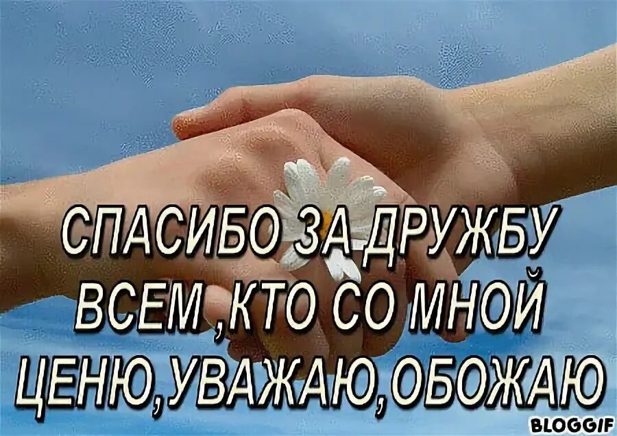 Господи спасибо что рядом есть друзья шаблон. Ценить и уважать друг друга. Благодарю ценю и уважаю. Ценю обожаю уважаю обожаю. Ценю и уважаю.