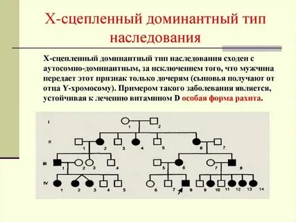 Что такое доминантный признак ген