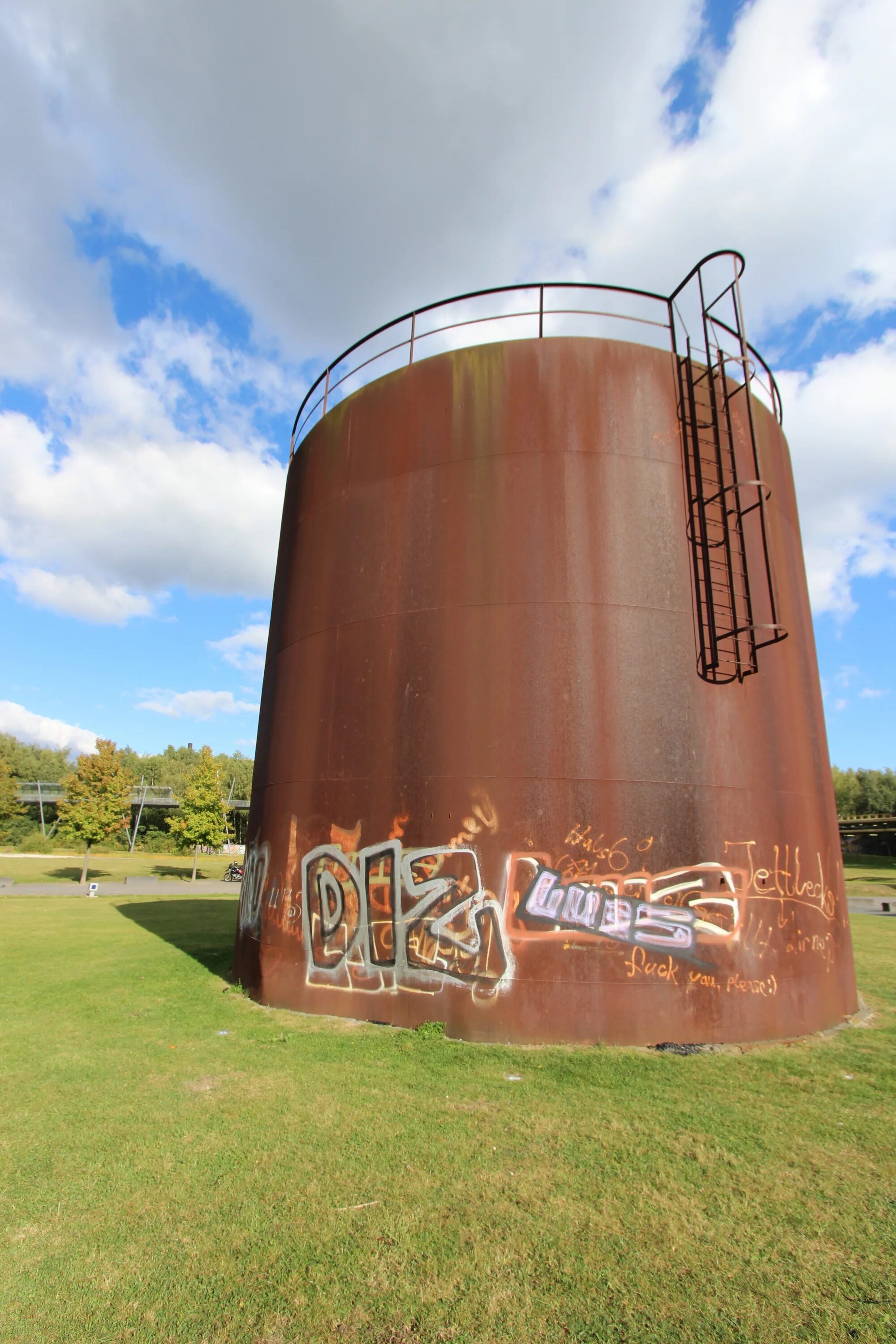 Silo rust