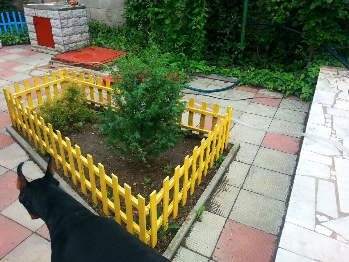 Щенок во дворе. Туалет для собаки на участке. Туалет для собак. Ме, то для мобаки во двлре. Знак выгул собак запрещен.