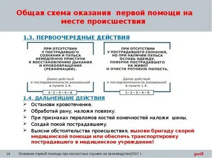 Общий алгоритм действий при оказании первой помощи