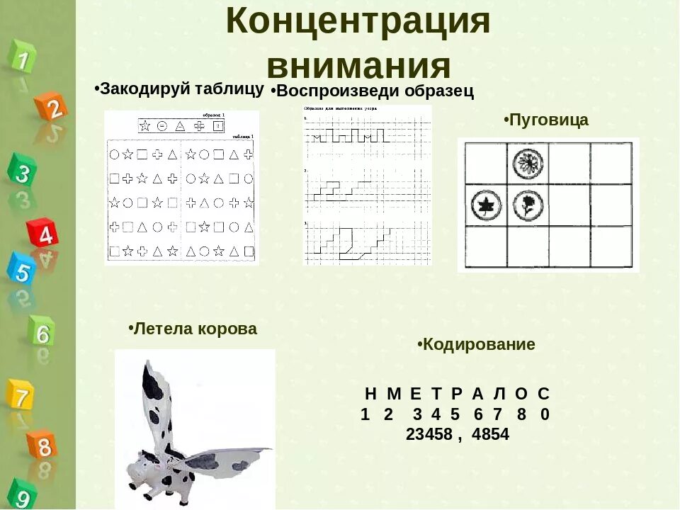 Содержание внимания. Концентрация внимания. Концентрация внимания внимание. Высокая концентрация внимания. Определение концентрации внимания.