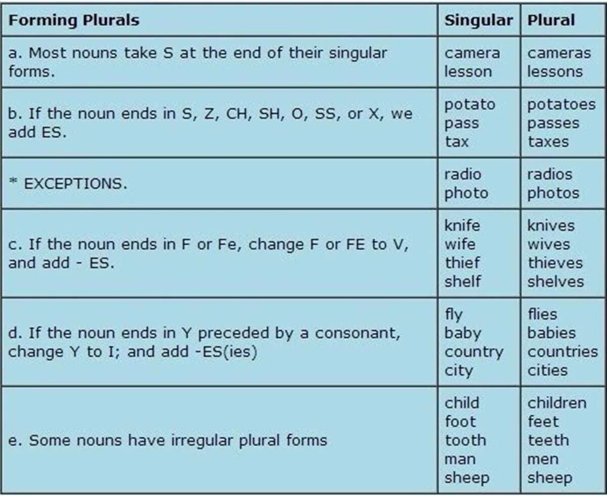 Change in the plural the child. Radio plural form. singular plural. singular form. singular and plural nouns правила.