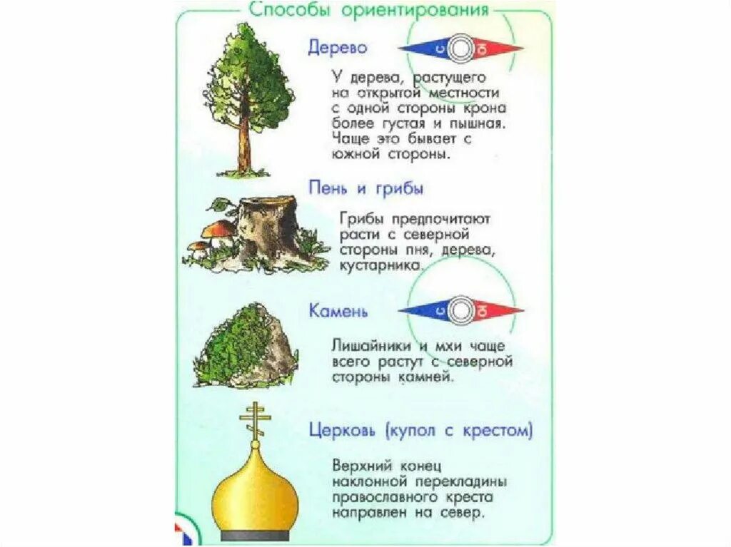 Признаки определения сторон горизонта 2 класс