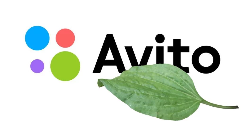 Https avito ru me. Avito логотип. Логотип сайта авито. Avito логотип без фона. Заставка на авито.
