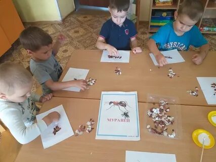 Поисково познавательная