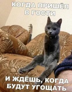 Приходи в гости прикол