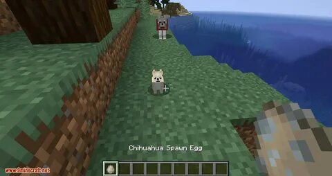Obfuscate mod 1.16 5