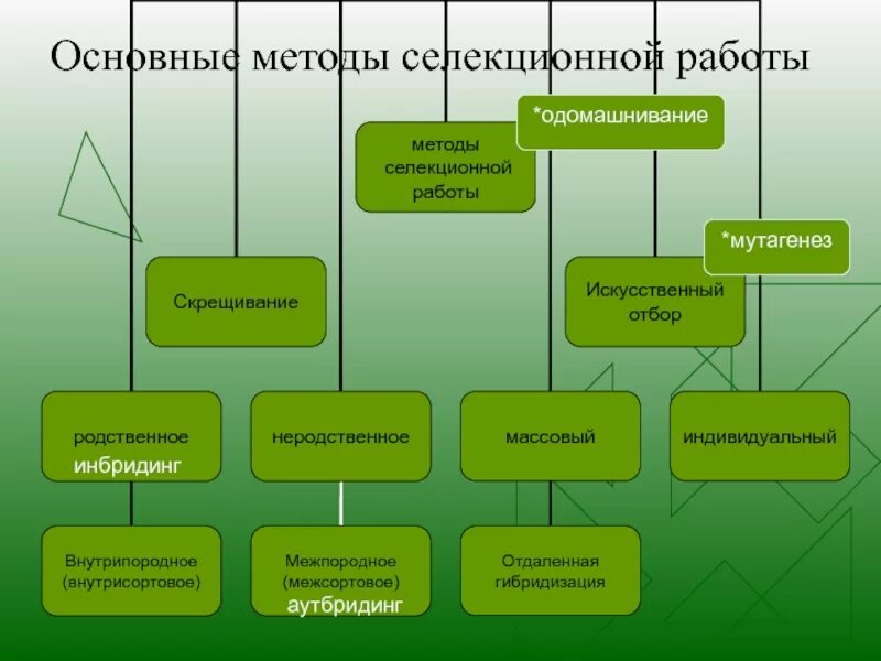 Какие методы используются в селекционной работе. Какие методы используются в селекционной работе