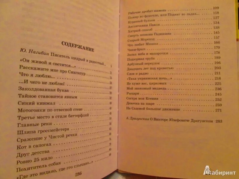 Собака сколько страниц. Драгунский рассказы сколько страниц. Драгунский рассказы страницы в книге. Драгунский первый день сколько страниц в рассказе. Сколько страниц в рассказе.