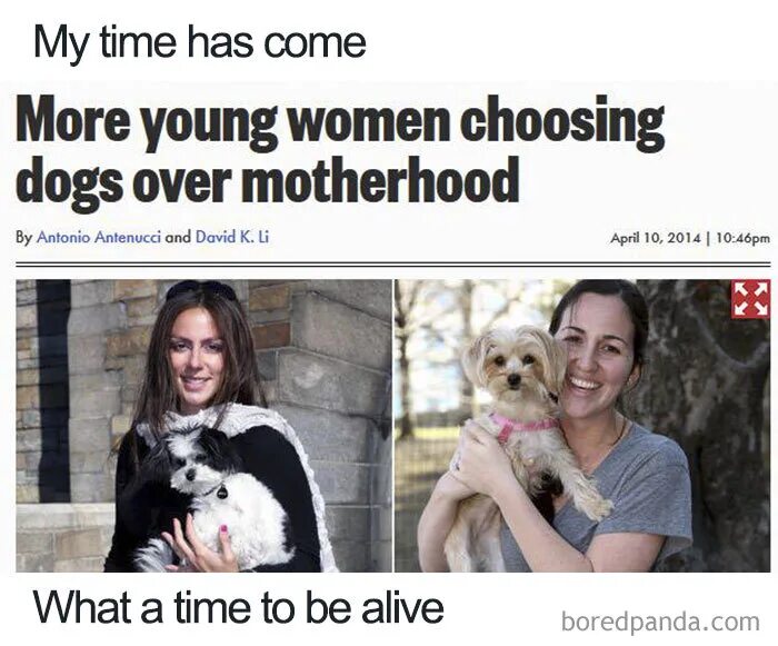 Adopt pets and prove mom wrong. Adopt pets and prove mom wrong