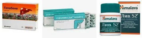 Гепатофальк планта