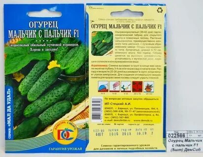 Мальчик огурцов