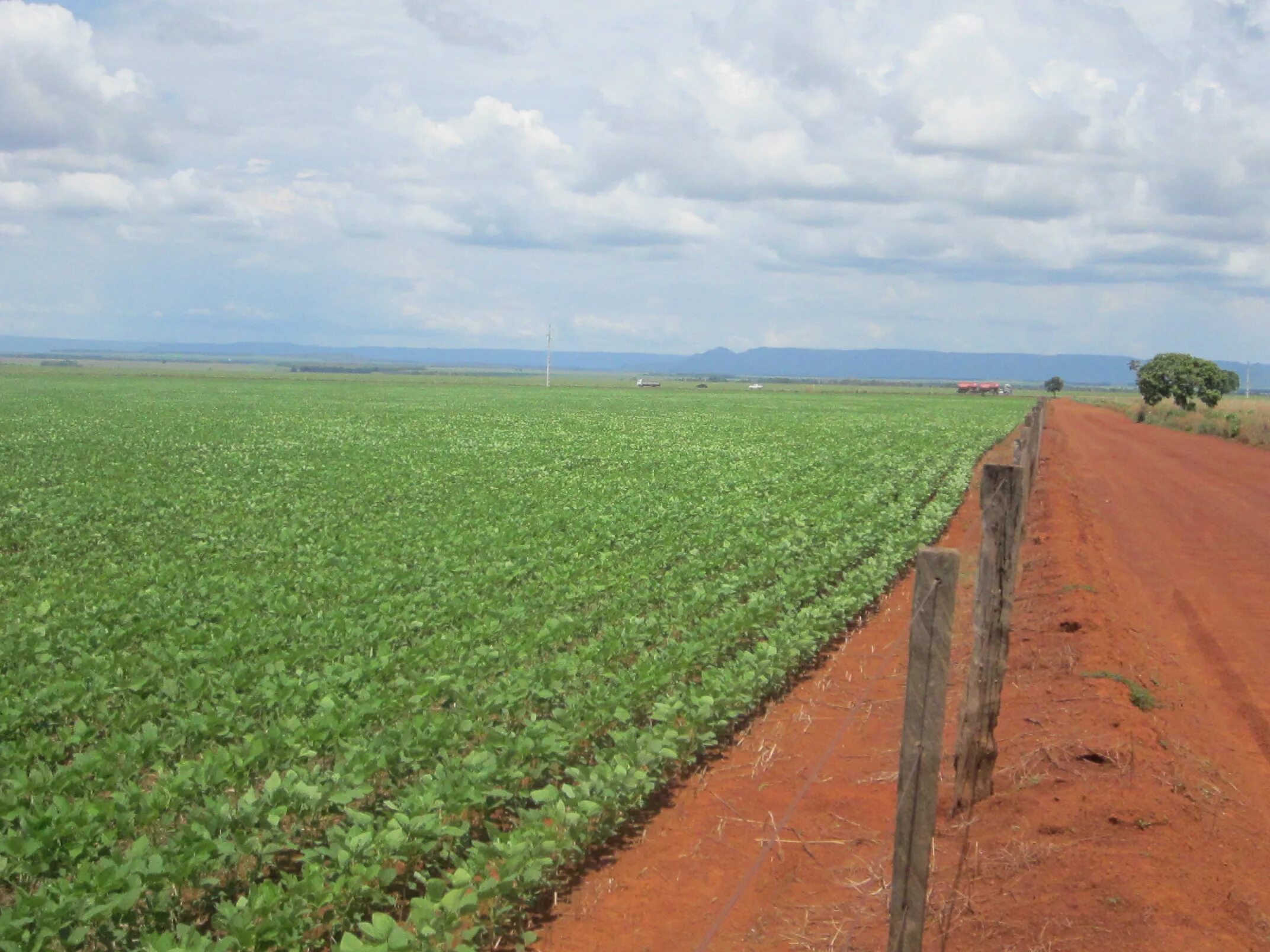 Fields area. Соя плантации в Краснодарском крае. Соя в Бразилии. Плантация сои в Бразилии. Плантации риса в России.