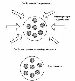Свойства организационных целей