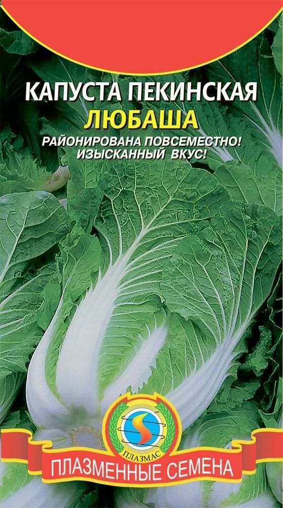 Пекинская любаша. Пекинская капуста. пекинская капуста семена. капуста пекинская любаша. семена пекинки капусты.