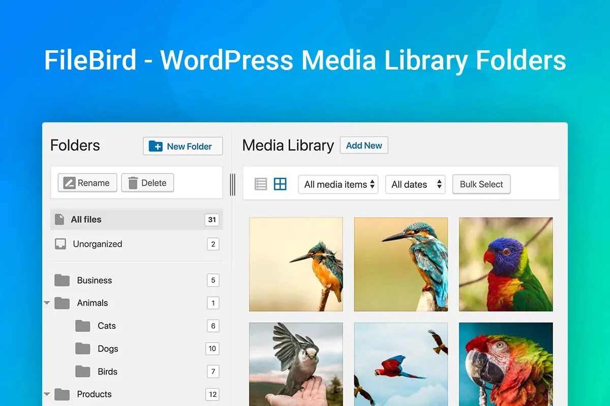 WORDPRESS folders. Style Manager для WORDPRESS. Multimedia WORDPRESS. Plugins folder