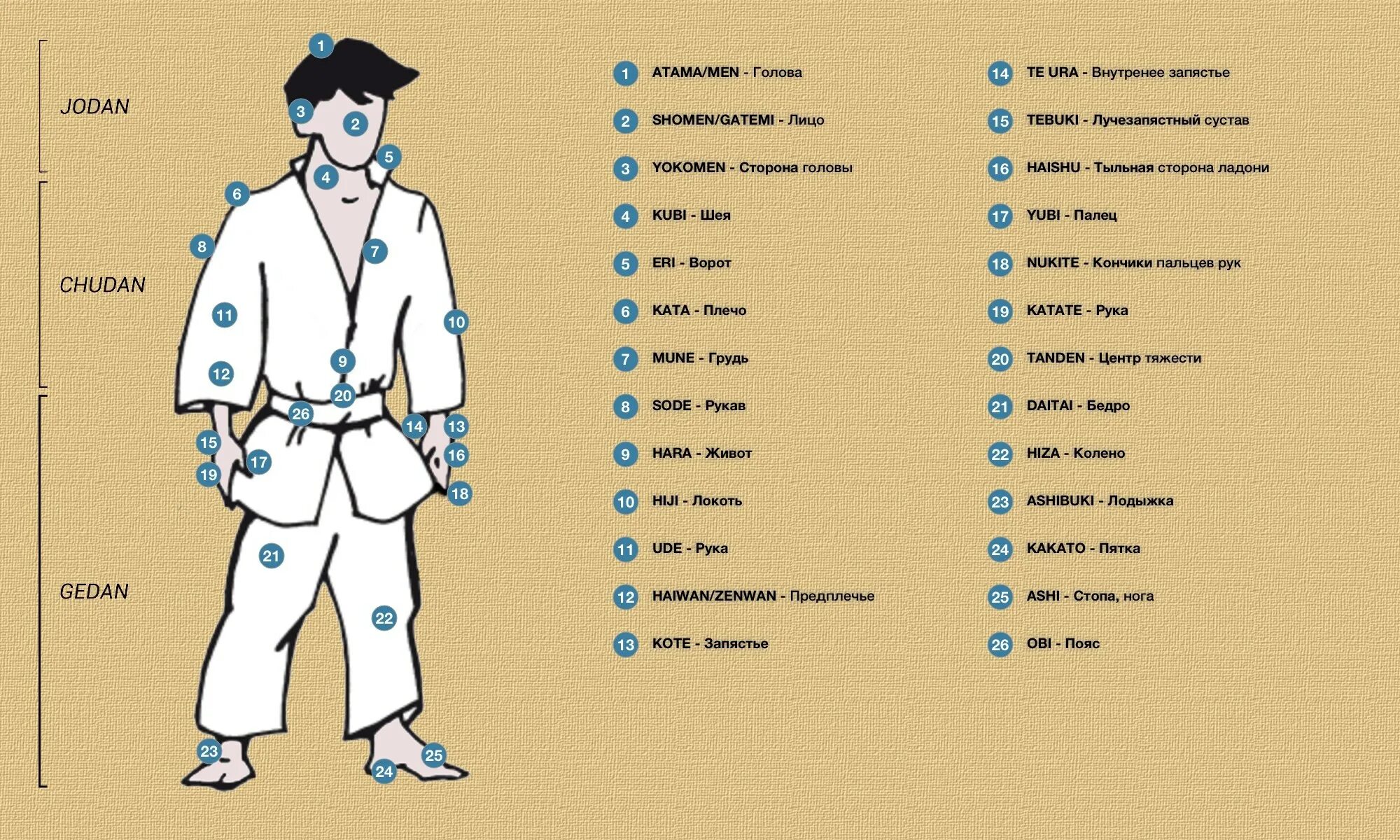 Каратэ шотокан стойки удары блоки. Стойки в каратэ шотокан. Язык каратэ. Язык каратэ киокушинкай. Японская терминология в каратэ.