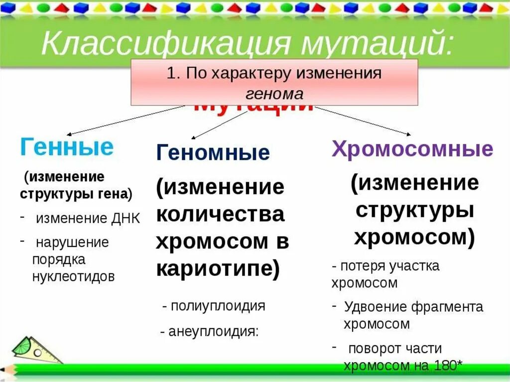 Биология таблица классификация мутаций. Генные мутации и их классификация. Характеристика генных мутаций. Классификаицягенной мутации. Случайная изменчивость виды