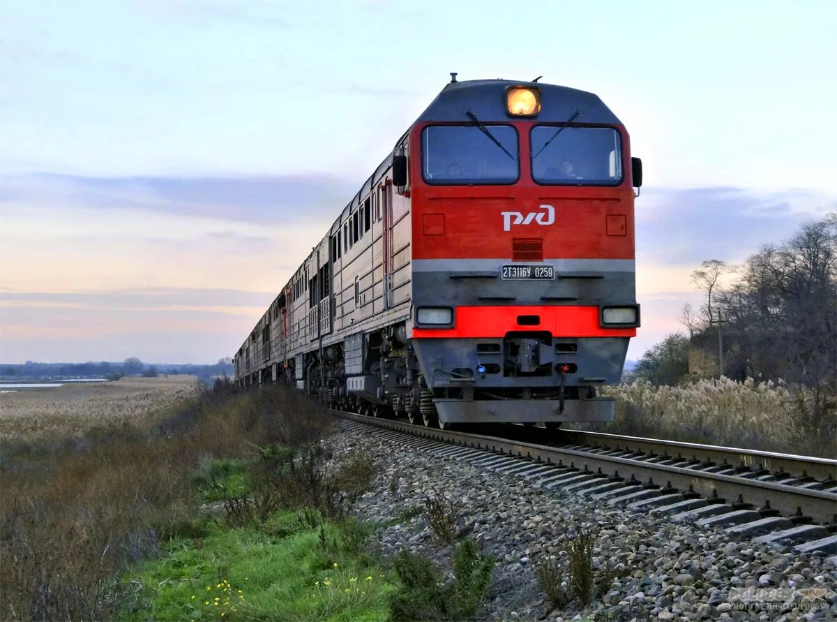 Поезд 116с