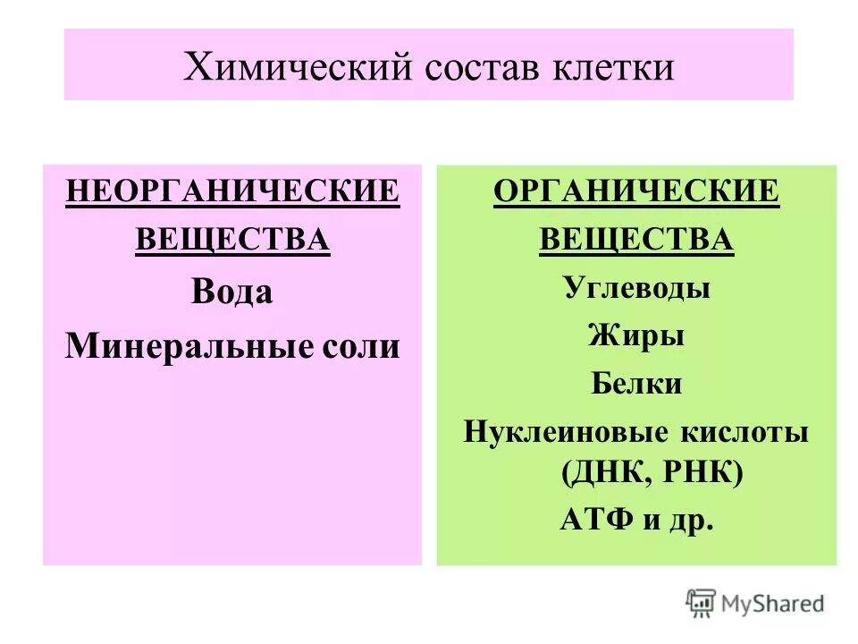 Какую функцию выполняют неорганические вещества клетки. Состав клетки неорганические вещества органические вещества. Функции веществ содержащихся в клетке. Функции неорганических веществ в клетке. Химический состав клетки неорганические вещества функции.