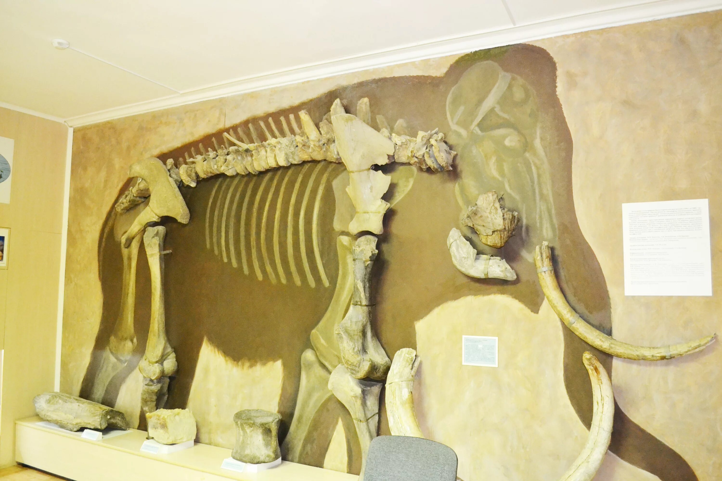 краеведческий музей саратов выставка. краеведческий музей экспозиции саратов. краеведческий музей экспозиции саратов. саратовский областной краеведческий музей. саратовский областной музей краеведения.