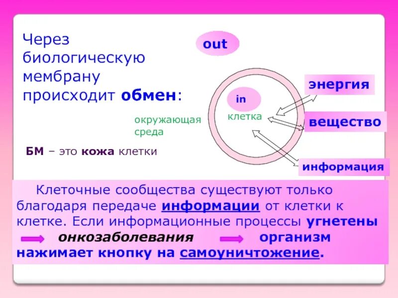 Процессы происходящие в живой клетке