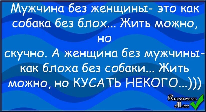 Мужчины без женщин. Мужчина без женщины как собака без блох жить. Мужчина без женщины как. Женщина без мужа как собака без блох. Можно жить без мужчин